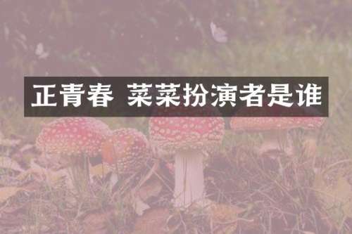 正青春 菜菜扮演者是谁