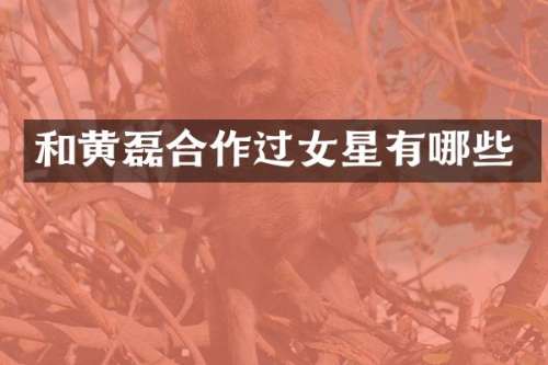和黄磊合作过女星有哪些