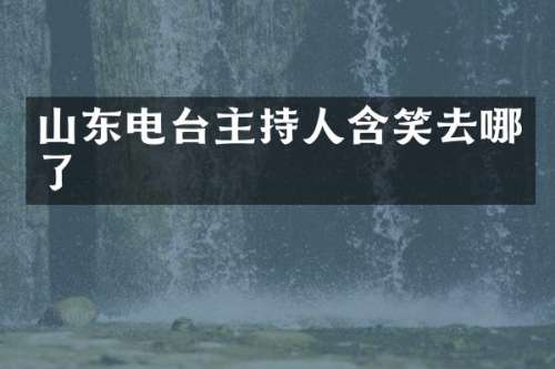山东电台主持人含笑去哪了