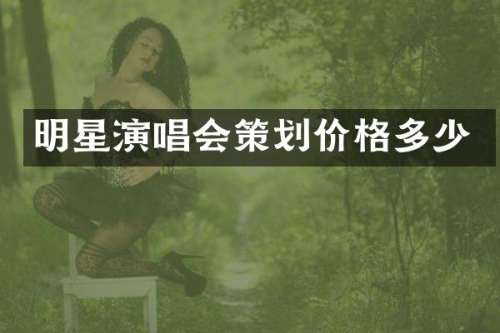 明星演唱会策划价格多少