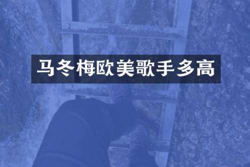 马冬梅欧美歌手多高