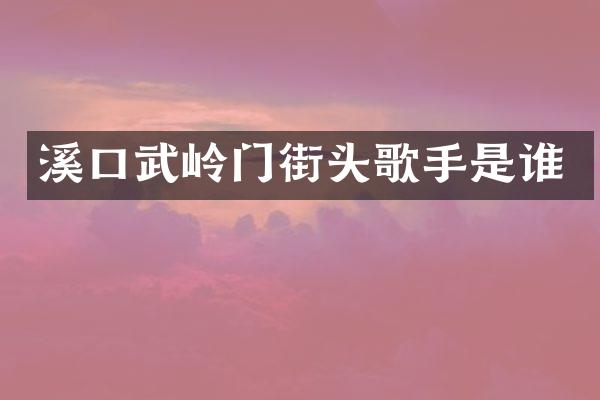 溪口武岭门街头歌手是谁