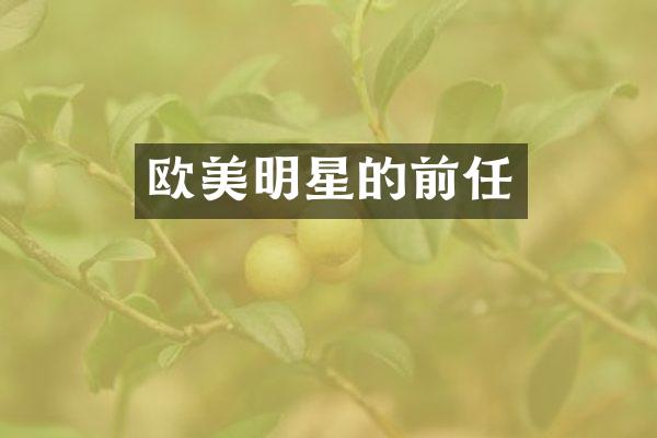 欧美明星的前任