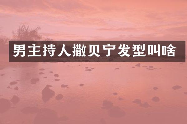 男主持人撒贝宁发型叫啥
