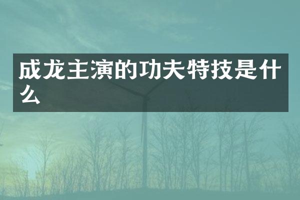 成龙主演的功夫特技是什么