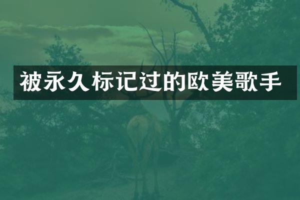 被永久标记过的欧美歌手
