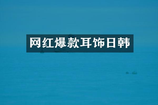 网红爆款耳饰日韩