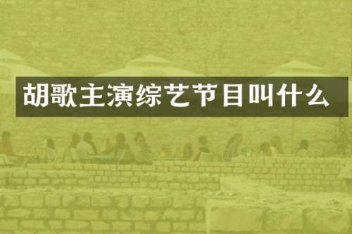 胡歌主演综艺节目叫什么