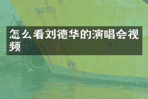 怎么看刘德华的演唱会视频