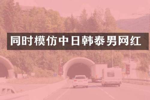 同时模仿中日韩泰男网红