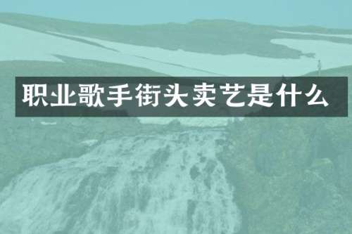 职业歌手街头卖艺是什么