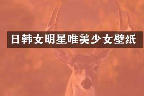 日韩女明星唯美少女壁纸