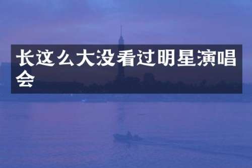 长这么大没看过明星演唱会