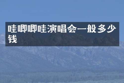 哇唧唧哇演唱会一般多少钱
