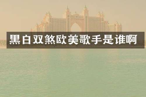 黑白双煞欧美歌手是谁啊
