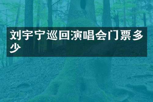 刘宇宁巡回演唱会门票多少