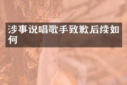 涉事说唱歌手致歉后续如何