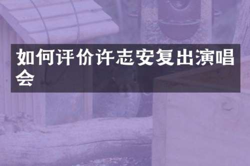 如何评价许志安复出演唱会