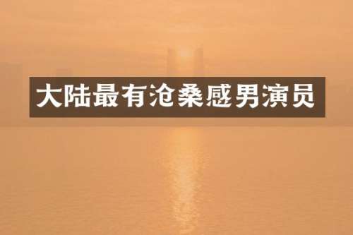 大陆最有沧桑感男演员