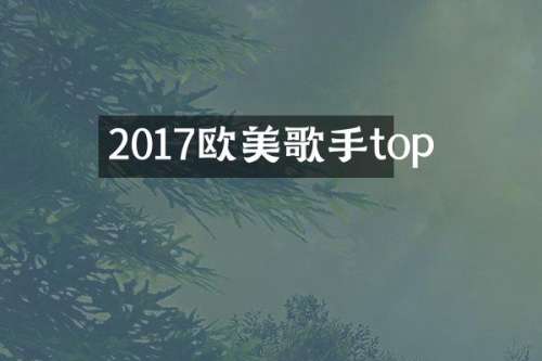 2017欧美歌手top
