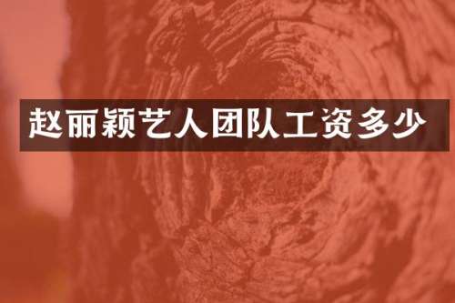 赵丽颖艺人团队工资多少
