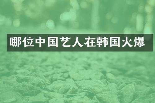 哪位中国艺人在韩国火爆