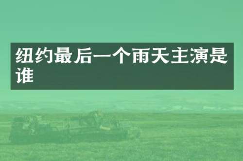 纽约最后一个雨天主演是谁