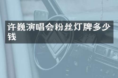许巍演唱会粉丝灯牌多少钱