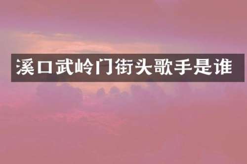 溪口武岭门街头歌手是谁