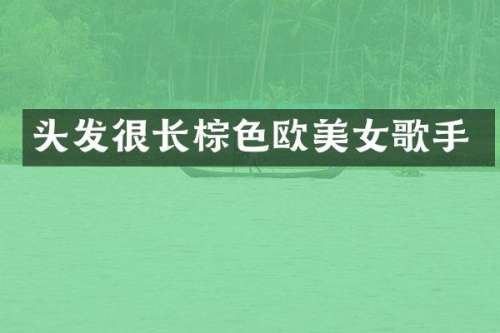 头发很长棕色欧歌手