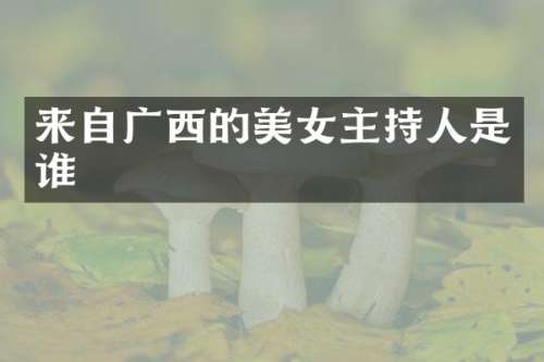 来自广西的主持人是谁