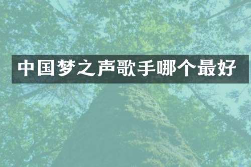中国梦之声歌手哪个最好