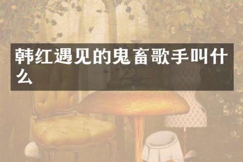 韩红遇见的鬼畜歌手叫什么