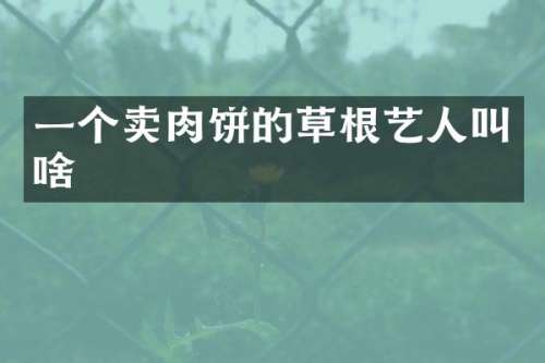 一个饼的草根艺人叫啥