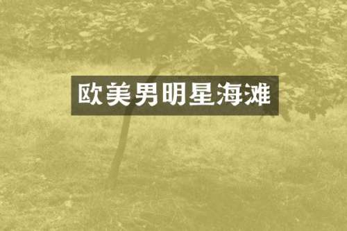 欧美男明星海滩