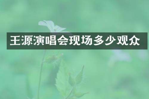 王源演唱会现场多少观众