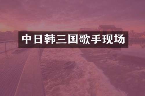 中日韩三国歌手现场