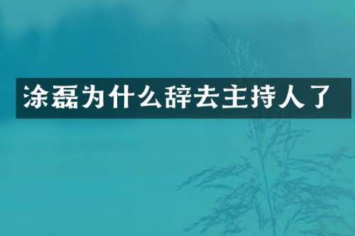 涂磊为什么辞去主持人了