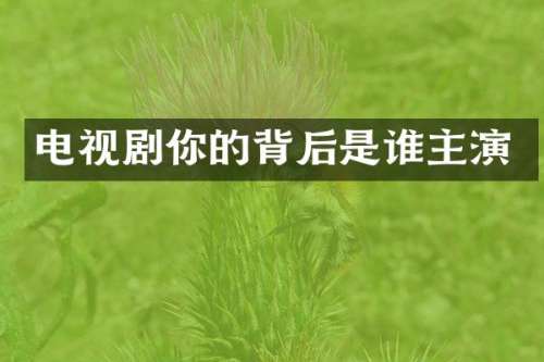 电视剧你的背后是谁主演