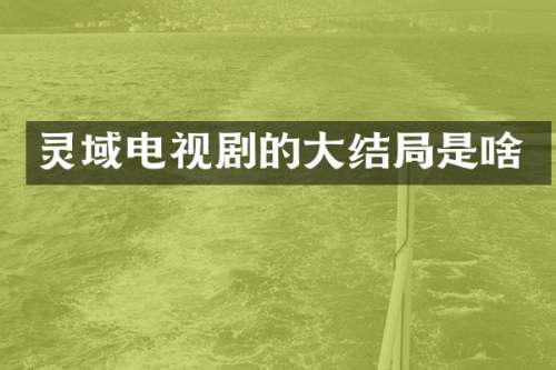 灵域电视剧的大结局是啥