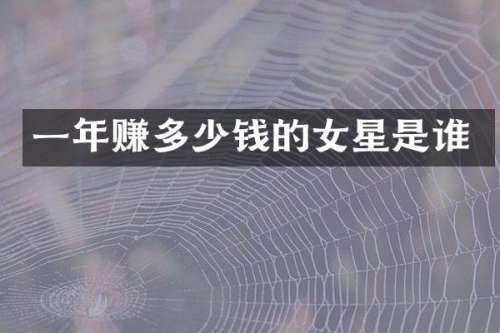 一年赚多少钱的女星是谁