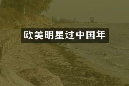 欧美明星过中国年