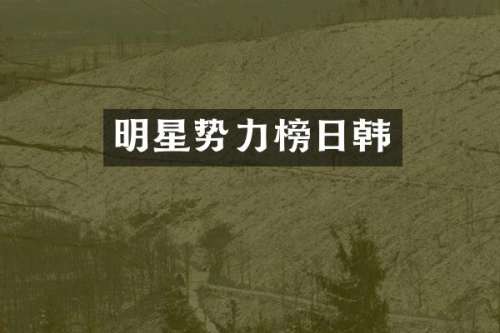 明星势力榜日韩