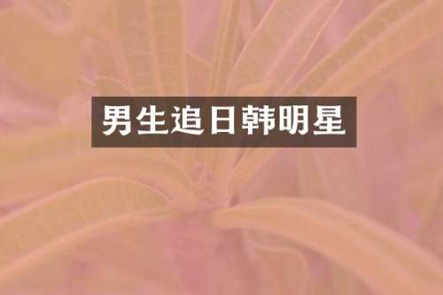 男生追日韩明星