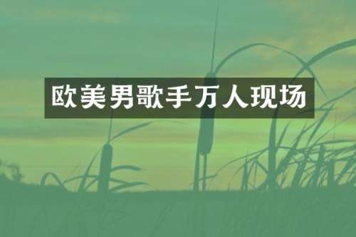 欧美男歌手万人现场
