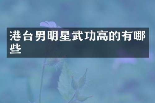 港台男明星武功高的有哪些