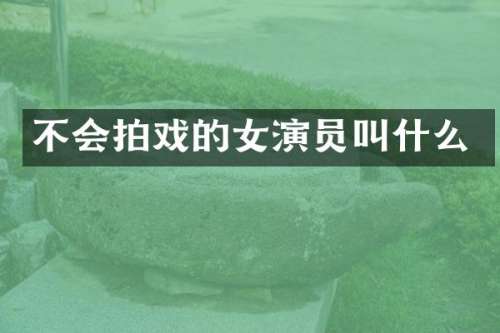 不会拍戏的女演员叫什么