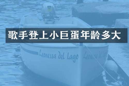 歌手登上小巨蛋年龄多大