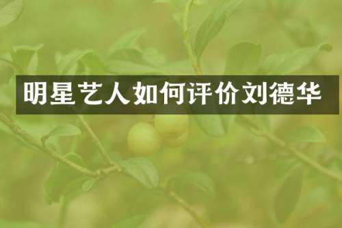 明星艺人如何评价刘德华