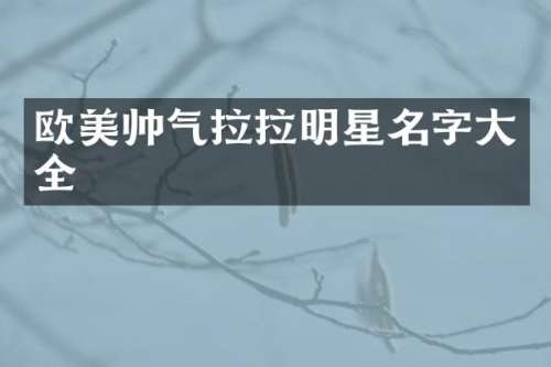 欧美帅气拉拉明星名字大全